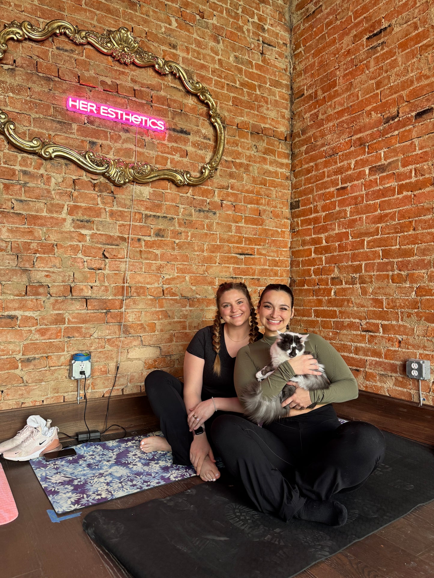 Kittens + Fitness Tickets Here 👇