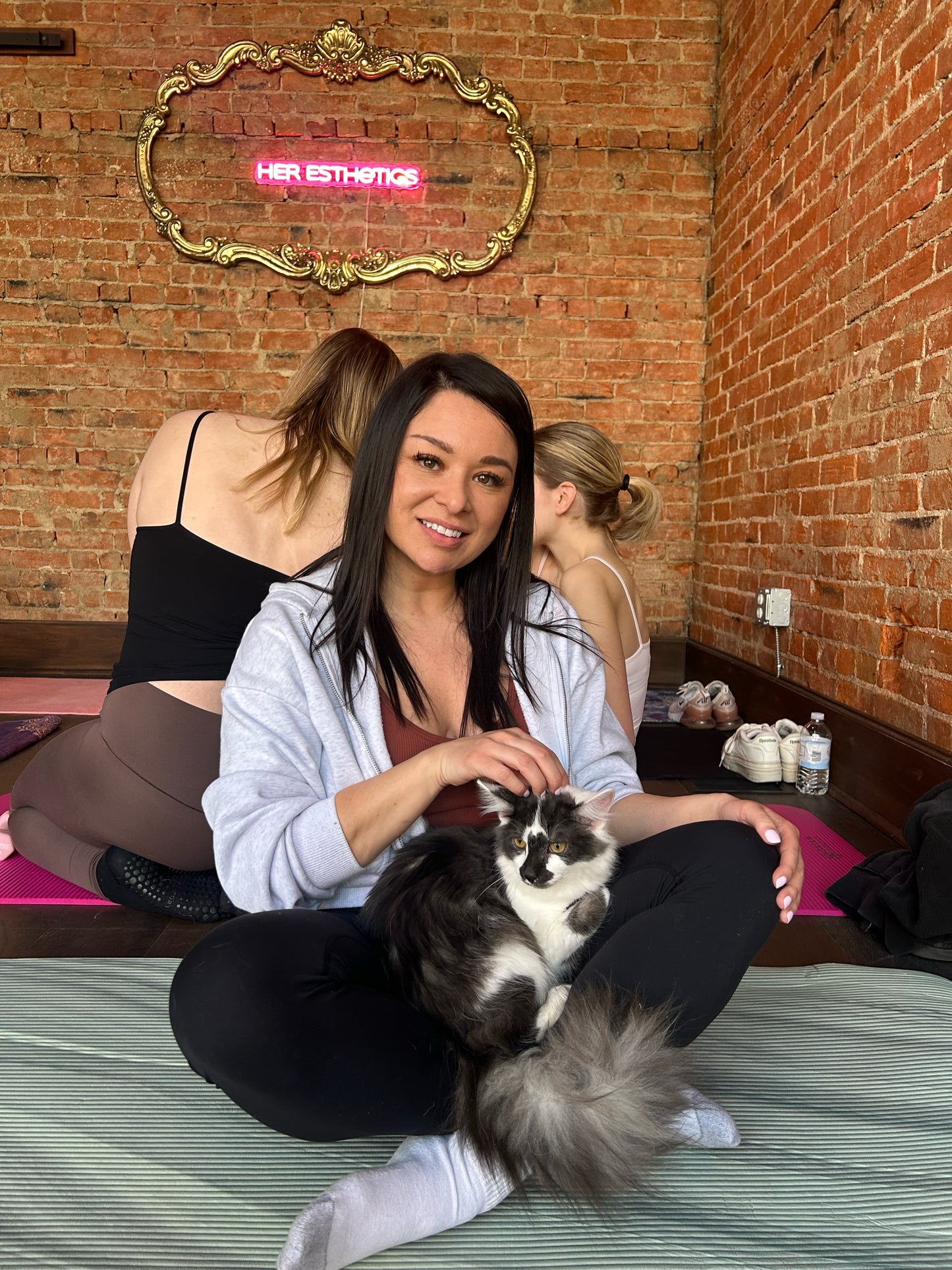 Kittens + Fitness Tickets Here 👇