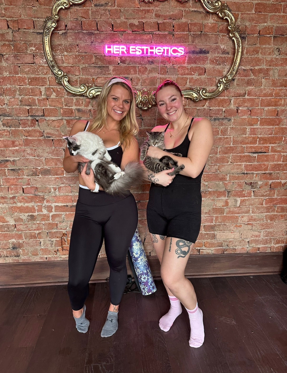 Kittens + Fitness Tickets Here 👇