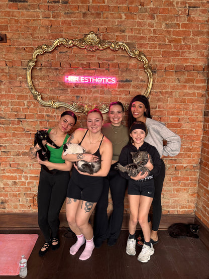 Kittens + Fitness Tickets Here 👇