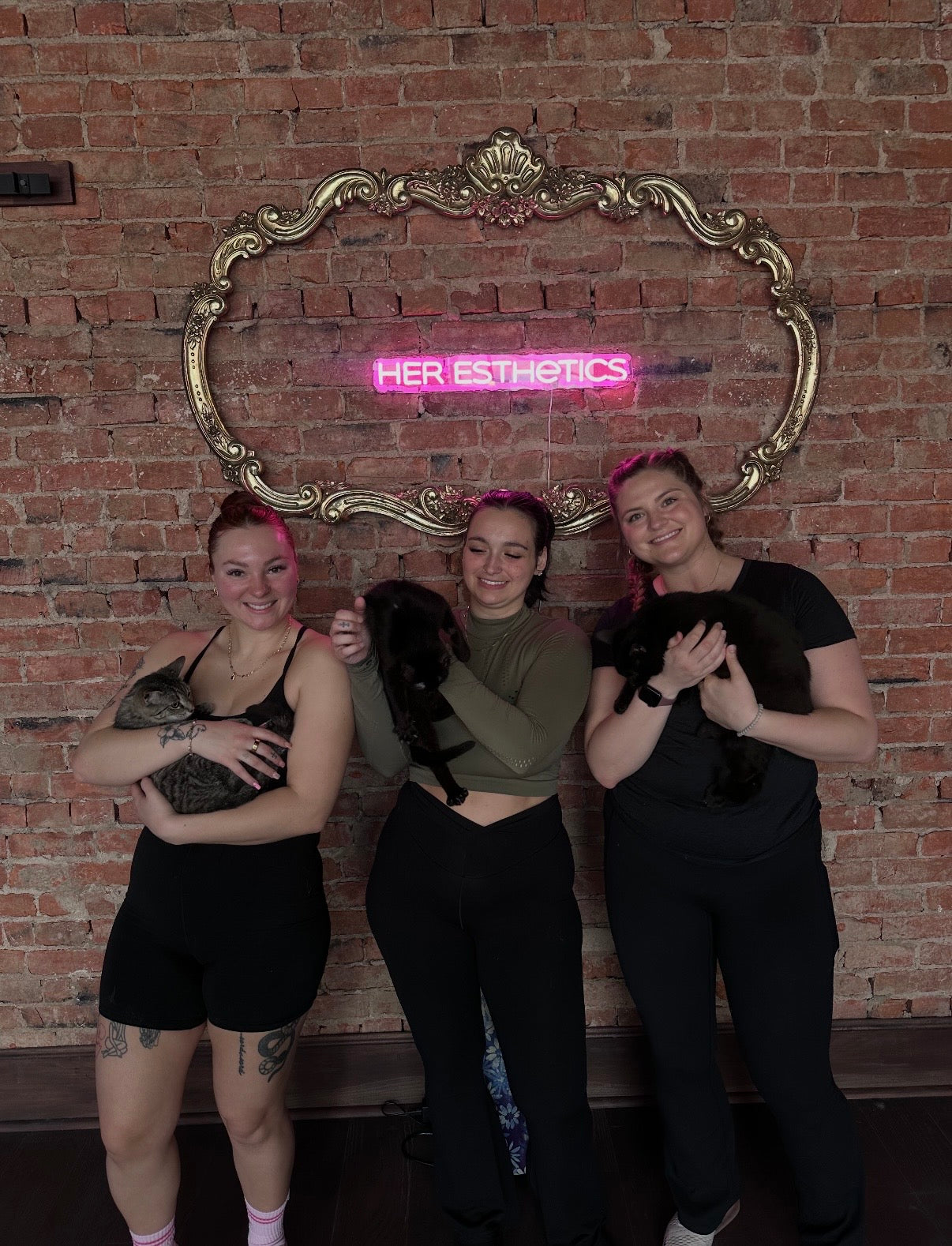 Kittens + Fitness Tickets Here 👇